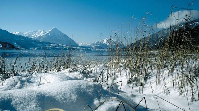 圖恩湖 Lake Thun 