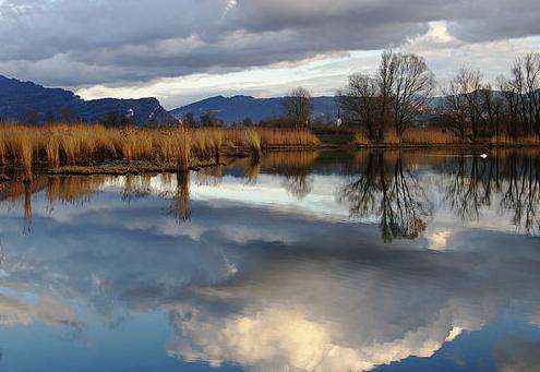 博登湖 Lake Constance 