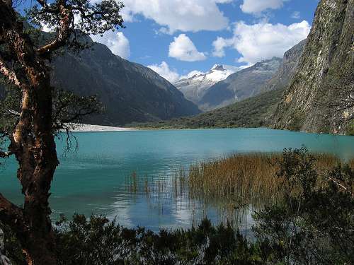 瓦斯卡蘭國家公園 Huascarán National Park 