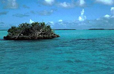 阿爾達布拉環礁 Aldabra Atoll 