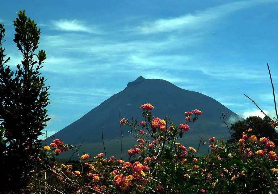 皮庫島 Pico Island 