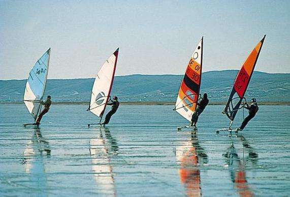 新錫德爾湖 Lake Neusiedl 