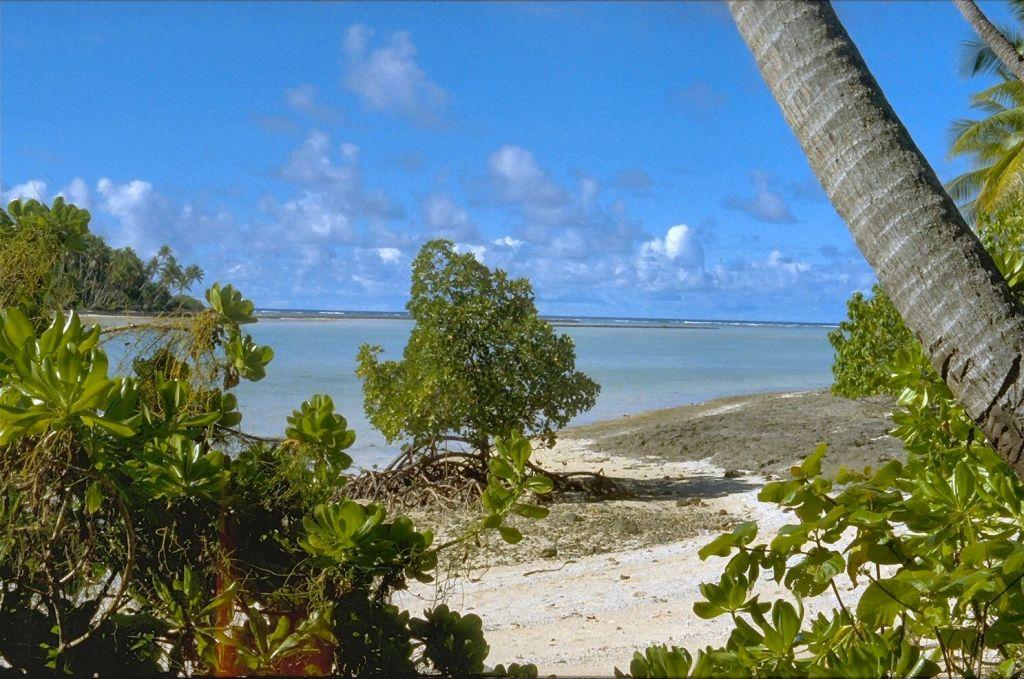 比卡爾環礁 Bikar Atoll 