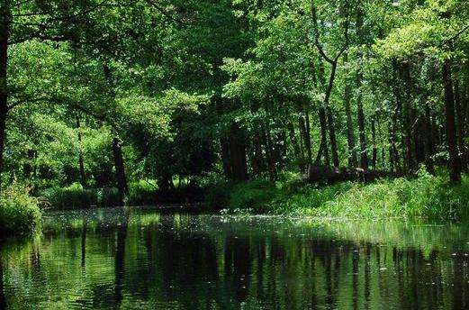 施普雷河森林 Spreewald 