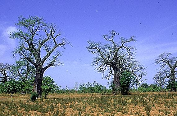 邦科國家公園 Banco National Park 