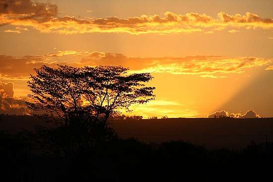 納庫魯湖國家公園 Lake Nakuru National Park 