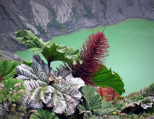 伊拉蘇火山 Irazu Volcano 