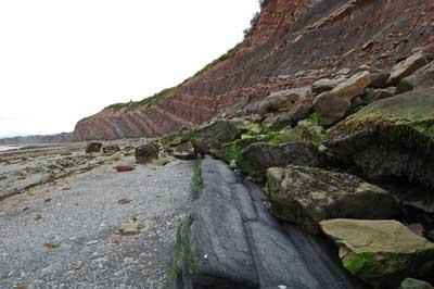 喬金斯化石崖壁 Joggins Fossil Cliffs 