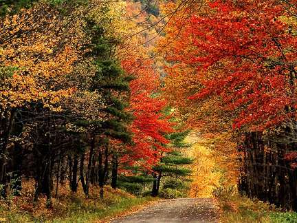 卡茲奇山 Catskill Mountains 