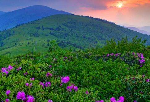 綠山山脈 Green Mountains 