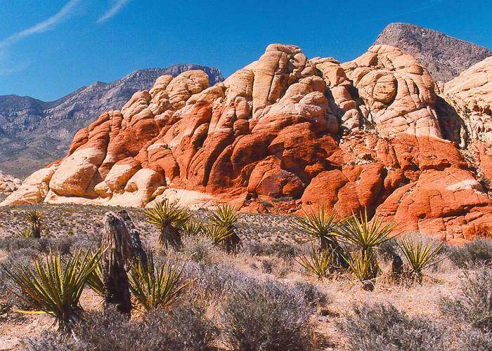 紅石峽谷國家保護區 Red Rock Canyon National Conservation Area 