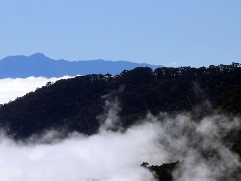 塔拉曼卡仰芝－拉阿米斯泰德保護區 Talamanca Range-La Amistad Reserves  La Amistad National Park 