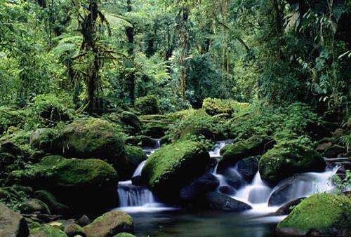 蒙特沃德雲霧森林保護區 Monteverde Cloud Forest Reserve 