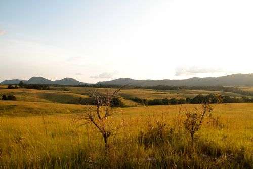 洛佩-奧坎德生態系統與文化遺跡景觀 Ecosystem and Relict Cultural Landscape of Lopé-Okanda 