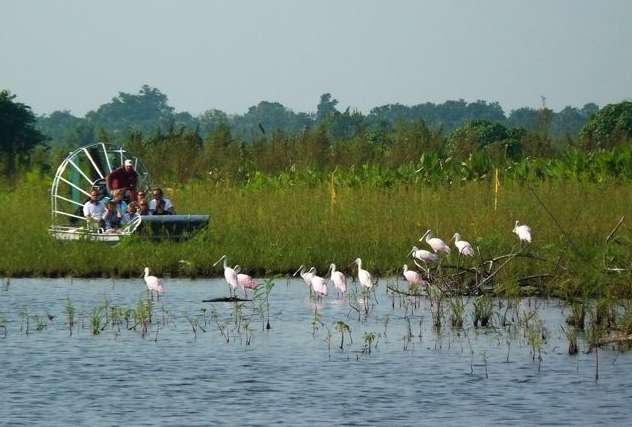 佛羅里達大沼澤 Everglades 