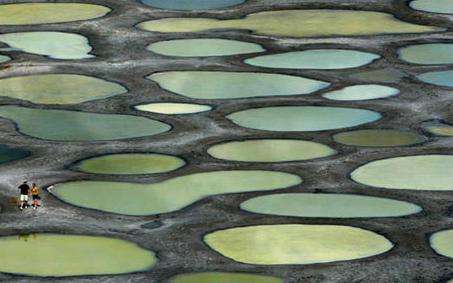 斑點湖 Spotted Lake 