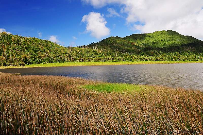 大唐湖 Grand Etang Lake 