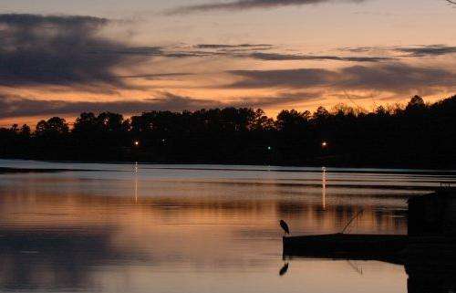 沃特裡湖 Lake Wateree 