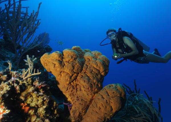 南凱科斯島 South Caicos 