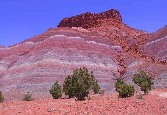 佩恩蒂德沙漠 Painted Desert 