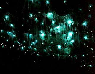 蒂阿瑙螢火蟲洞 Te Anau Glowworm Caves 