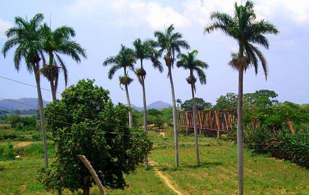 千里達和洛斯因赫尼奧斯山谷 Trinidad and the Valley de Los Ingenios 