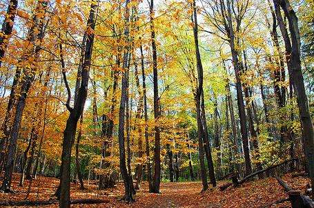 布魯斯步道 Bruce Trail 