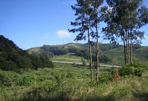 聖布魯諾 San Bruno 