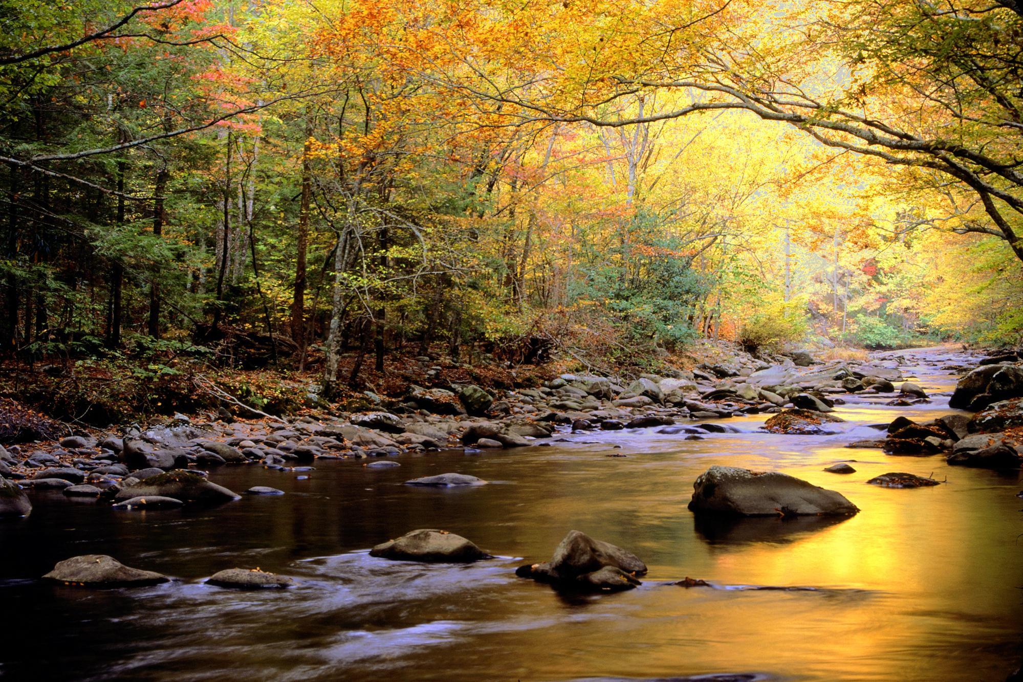 大煙霧山國家公園 Great Smoky Mountains National Park 