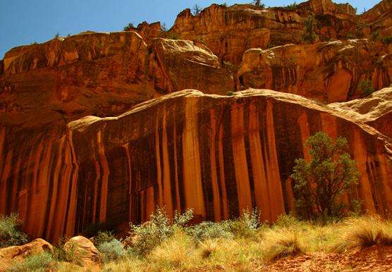 圓頂礁國家公園 Capitol Reef National Park 