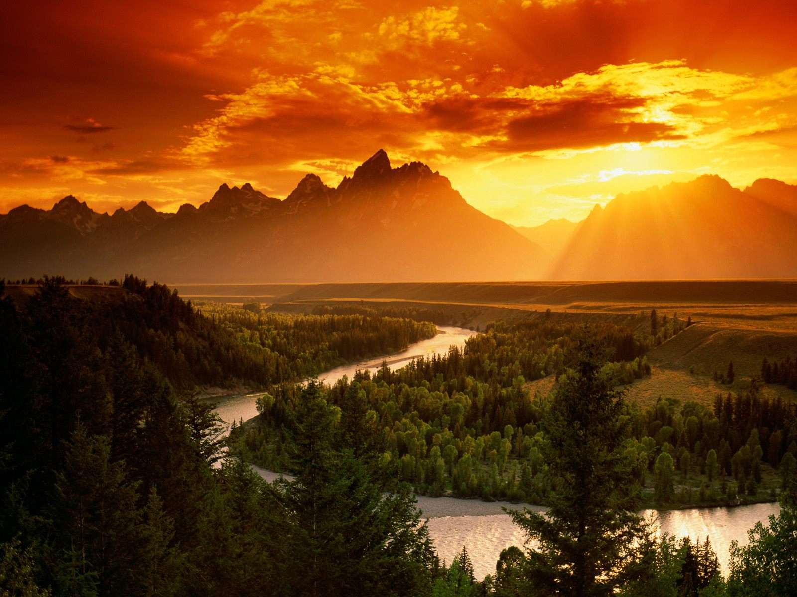 大提頓國家公園 Grand Teton National Park 