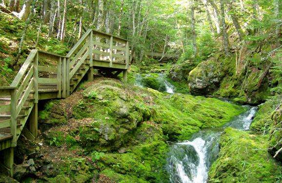 芬迪國家公園 Fundy National Park 