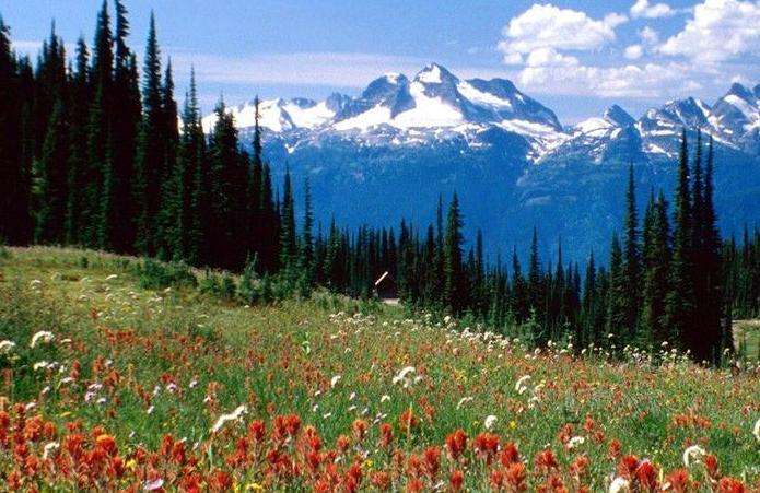 雷夫爾斯托克山國家公園 Mount Revelstoke National Park 