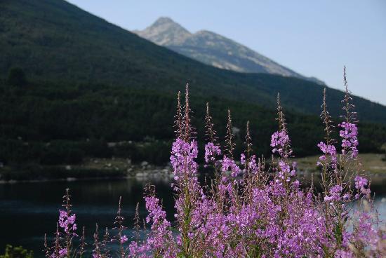 皮林國家公園 Pirin National Park 