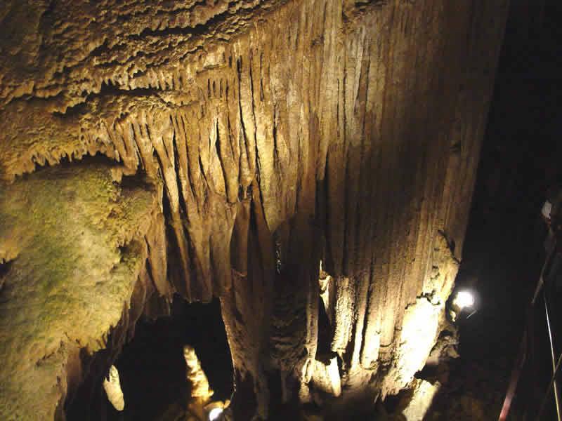 猛瑪洞穴國家公園 Mammoth Cave National Park 