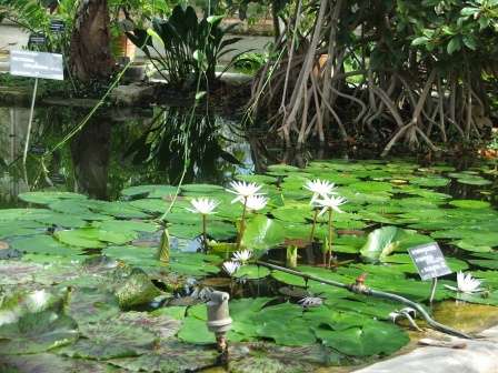 題德多公園 Park of the Golden HeadParc de la Tête d'Or 