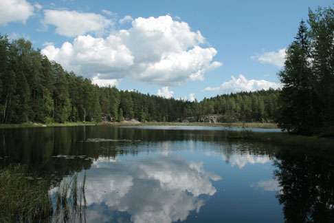 努克西奧國家公園 Nuuksio National Park 