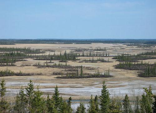 伍德布法羅國家公園 Wood Buffalo National Park 