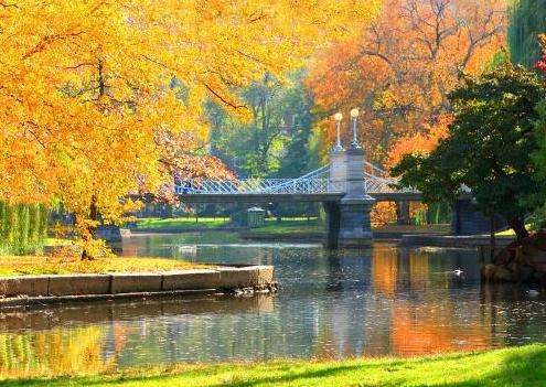 波士頓公園 Boston Common 