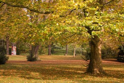 威斯巴登療養公園 Kurpark Wiesbaden 