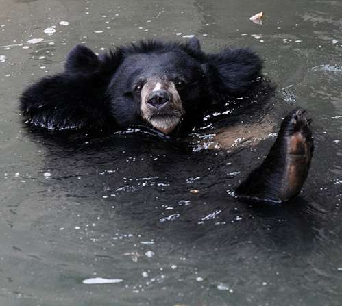 索菲亞動物園 Sofia Zoo 