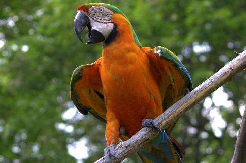 寶曼維爾動物園 Bowmanville Zoo 