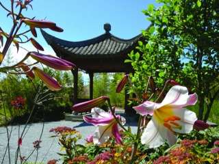 西華園 Seattle Chinese Garden 