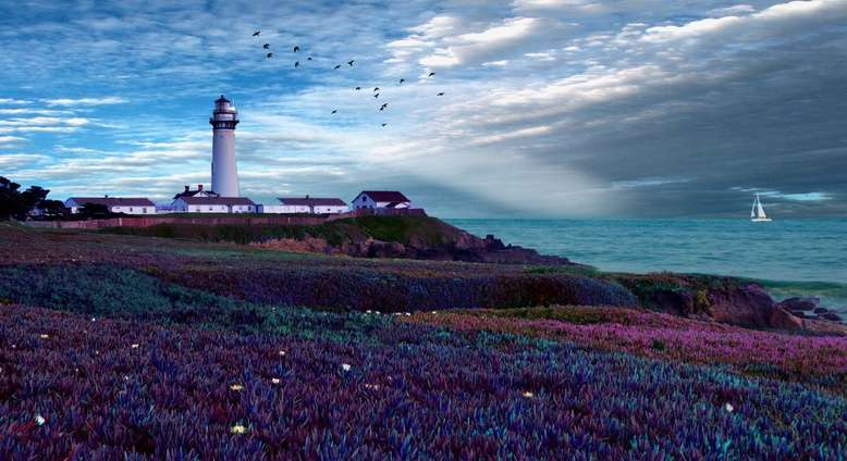 鴿點燈塔 Pigeon Point Lighthouse 