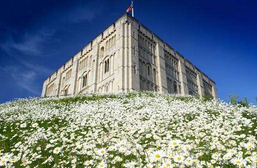 諾維奇城堡 Norwich Castle 