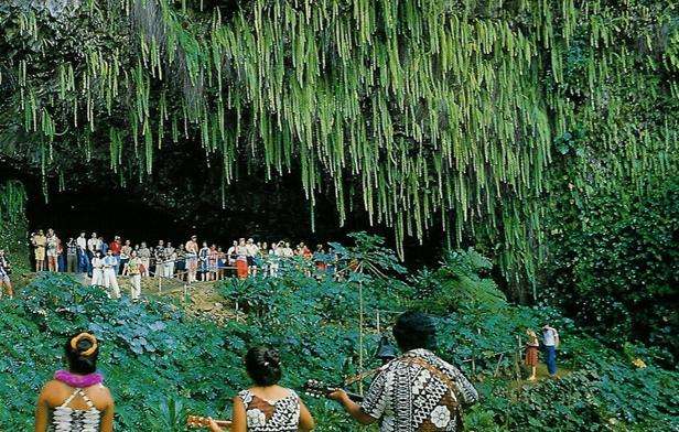 羊齒洞穴 Fern Grotto 