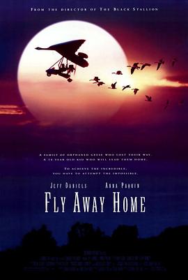 伴你高飛 Fly Away Home