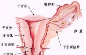 功血 功能失調性子宮出血 異常性子宮出血 功能性子宮出血