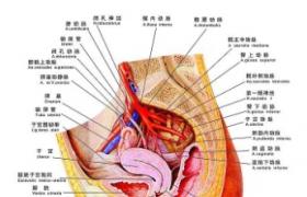 急性盆腔炎 N73.051 