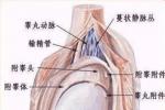 慢性附睪炎